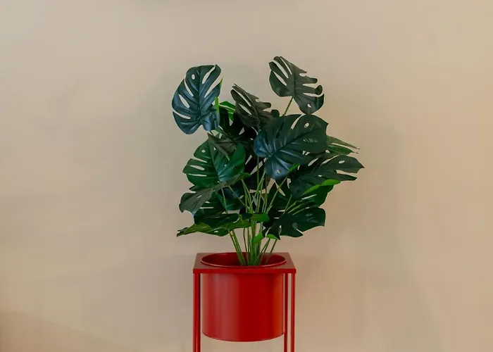 Modern Open Plan Elegance By Hostwise