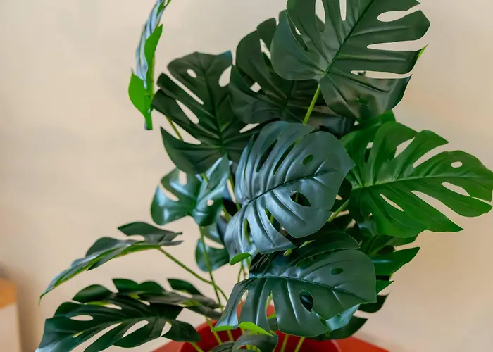 Modern Open Plan Elegance By Hostwise